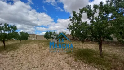 Rustic finca on Calle de Alfonso XII photo 49