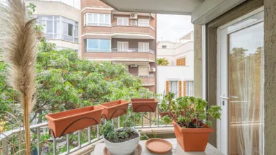 Apartment in Santa Catalina photo 2