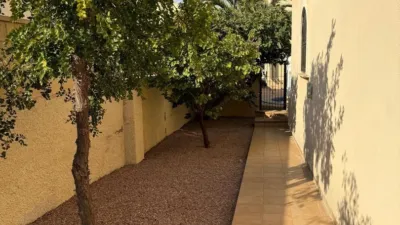 Chalet in Playa Flamenca photo 38