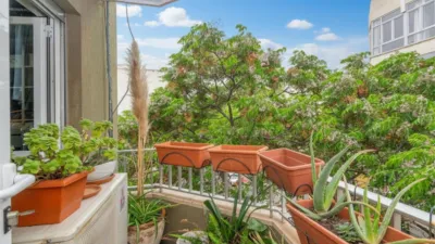 Apartment in Santa Catalina photo 4