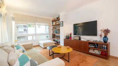 Apartment in Santa Catalina photo 3