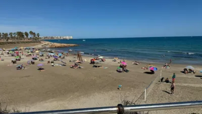Chalet in Playa Flamenca photo 45