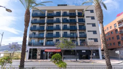 Apartment on Avenida de Carlos III photo 9