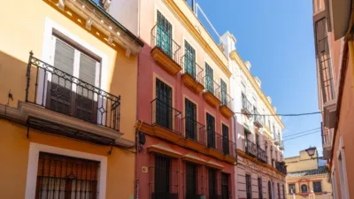 House on Calle Gallinato photo 40