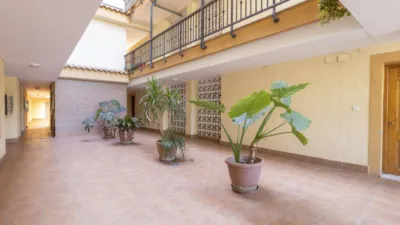 Apartamento en calle 1 Avenida Casa Grande #1 photo 43