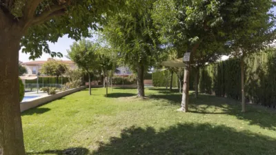 Apartamento en calle 1 Avenida Casa Grande #1 photo 42
