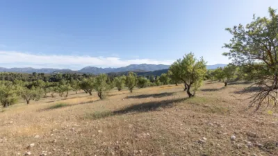 Finca rústica en calle Gr-3307, Arenas del Rey, Granada, nº Gr-3307 photo 52
