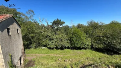 Rustic Finca in Selaya photo 21