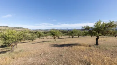 Finca rústica en calle Gr-3307, Arenas del Rey, Granada, nº Gr-3307 photo 51