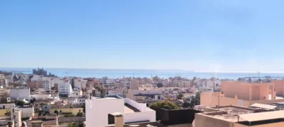 Apartment on Carrer de Dragonera photo 14