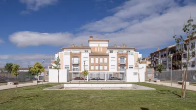 Top-floor apartment in Vega de Granada, Northwest Zone photo 32
