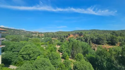 Apartment in Salto de La Novia photo 5