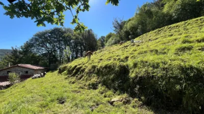 Rustic Finca in Selaya photo 35