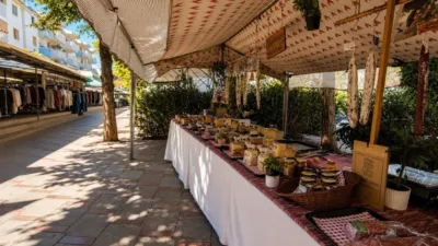 Apartment in Peguera photo 29