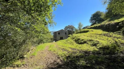 Rustic Finca in Selaya photo 28