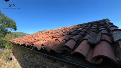 Rustic Finca in Selaya photo 19