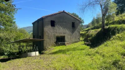 Rustic Finca in Selaya photo 2