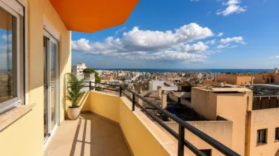 Apartment on Carrer de Dragonera photo 2