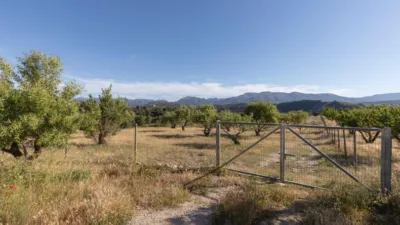 Finca rústica en calle Gr-3307, Arenas del Rey, Granada, nº Gr-3307 photo 55