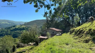 Rustic Finca in Selaya photo 34