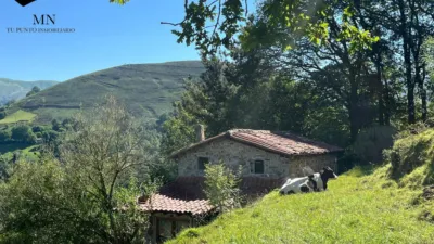 Rustic Finca in Selaya photo 4