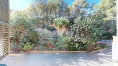 Apartment in Peguera photo 12