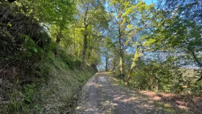 Rustic Finca in Selaya photo 11