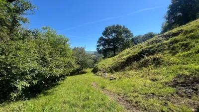 Rustic Finca in Selaya photo 30