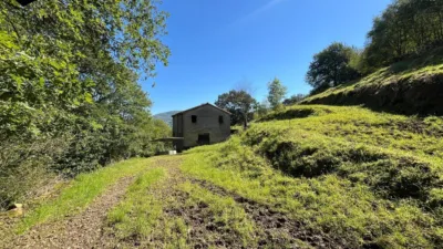 Rustic Finca in Selaya photo 13