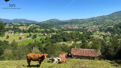 Rustic Finca in Selaya photo 18