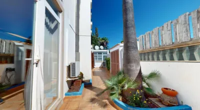 Apartment on Carrer de Xabec photo 34