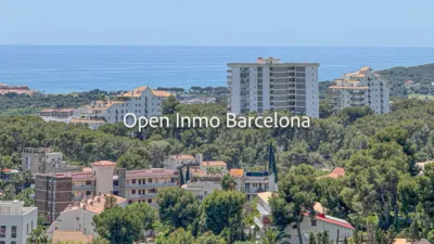 Apartment in Vallpineda-Rocamar photo 15