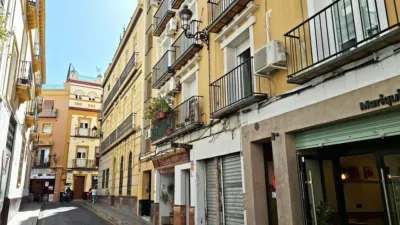 Duplex on Javier Lasso de la Vega Street photo 10