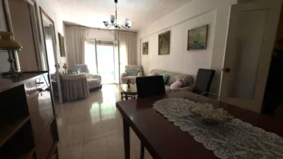 Apartment in Carolinas Altas photo 7