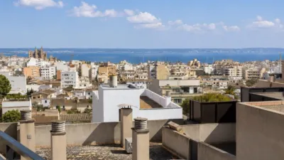 Apartment on Carrer de Dragonera photo 13