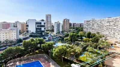 Apartment on Avenida de Benidorm photo 57