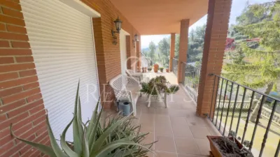 Chalet in El Pla de Palec photo 17