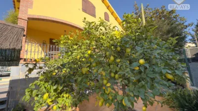 Chalet on Carrer del Llobregat photo 74