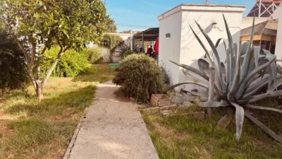 Rustic Finca in El Palillejo photo 28
