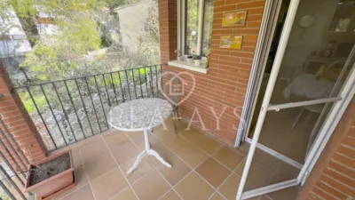 Chalet in El Pla de Palec photo 62