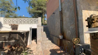 Chalet in Pla del Pèlac photo 61