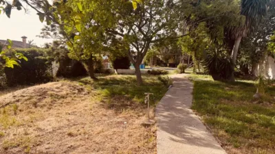 Rustic Finca in El Palillejo photo 29
