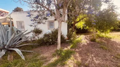 Rustic Finca in El Palillejo photo 27