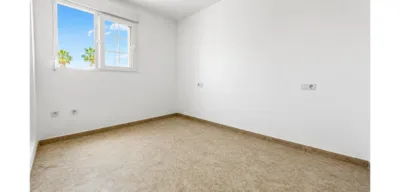 Apartment in Playa Flamenca photo 13