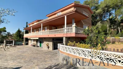 Chalet in Pla del Pèlac photo 3