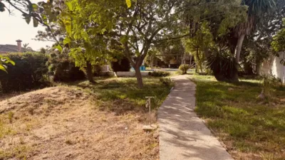 Rustic Finca in El Palillejo photo 30