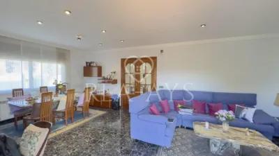 Chalet in Can Prunera photo 9