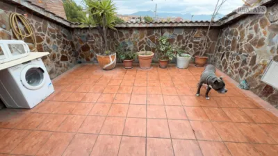 Chalet in La Guadia photo 43