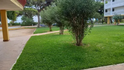 Apartment in El Portil photo 8