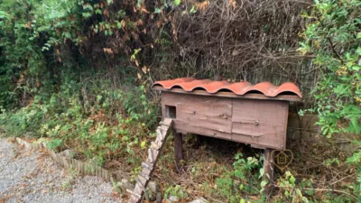 Chalet in Can Morgadas photo 46